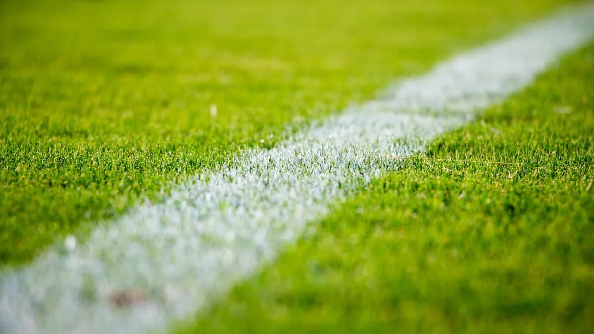 Tách Tin Đội Hình Khỏi Giả Định V-League