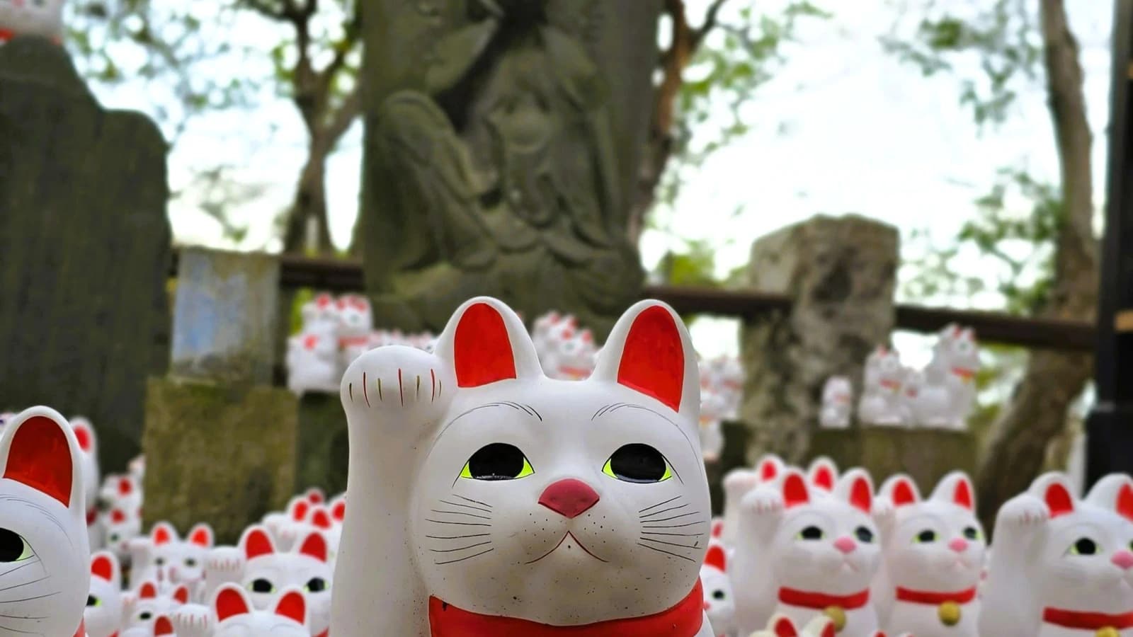 Hoàn trả là gì? Cách đọc tỷ lệ và điều kiện áp dụng